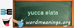 WordMeaning blackboard for yucca elata